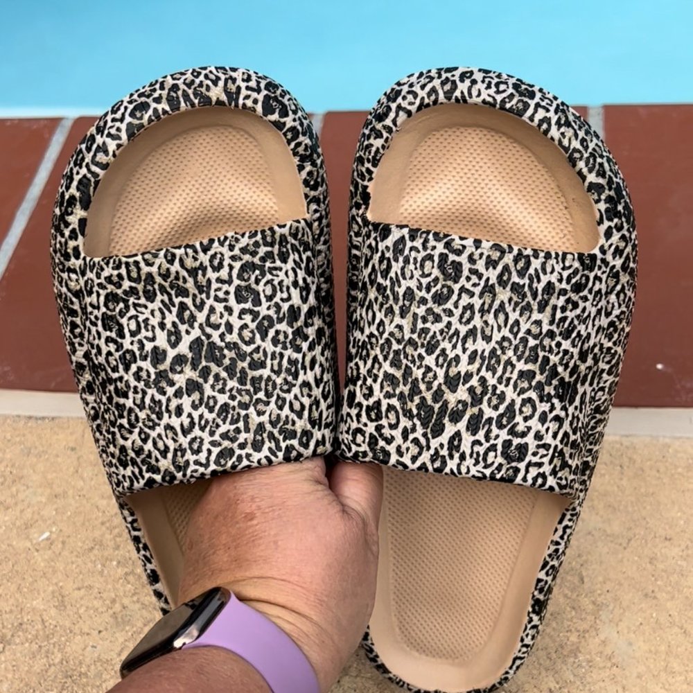 Walking On A Cloud Leopard Pillow Slides